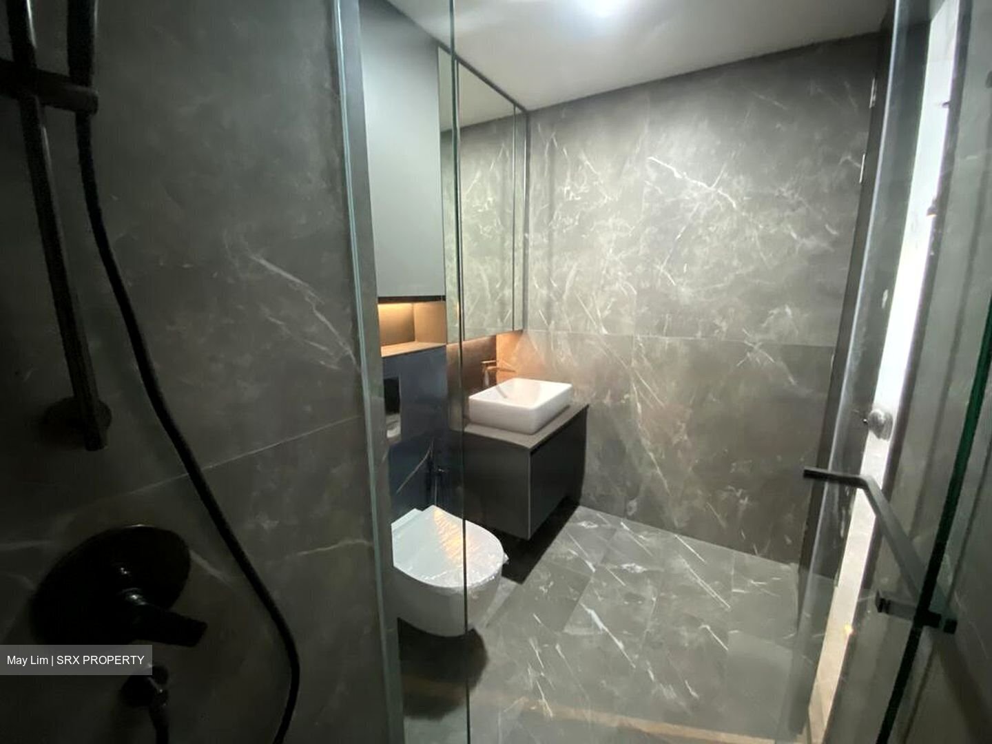 Irwell Hill Residences (D9), Apartment #456574671